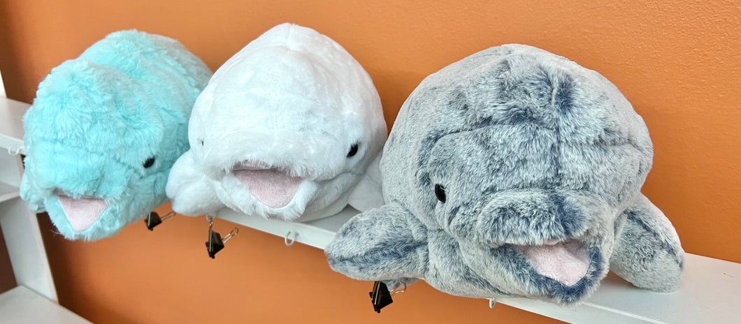 Live Shows Beluga Whale