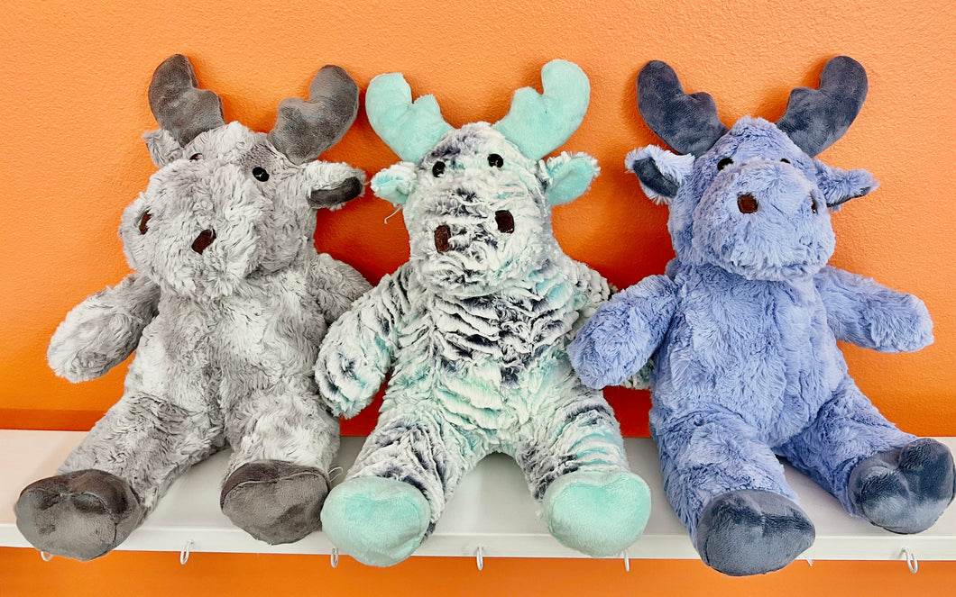 Live Shows Moose