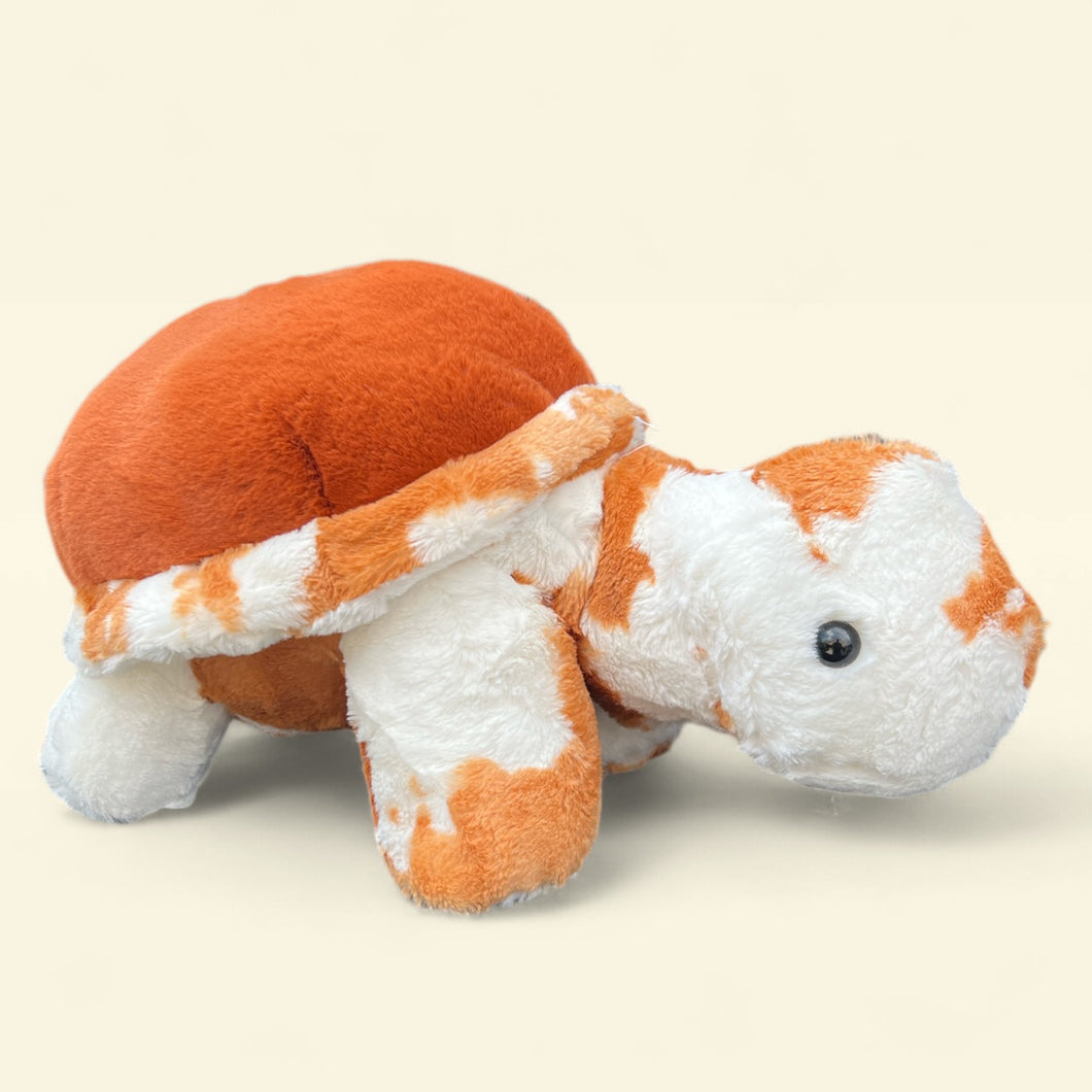 Pet Mini Tortoise Turtle Stuffed Animal