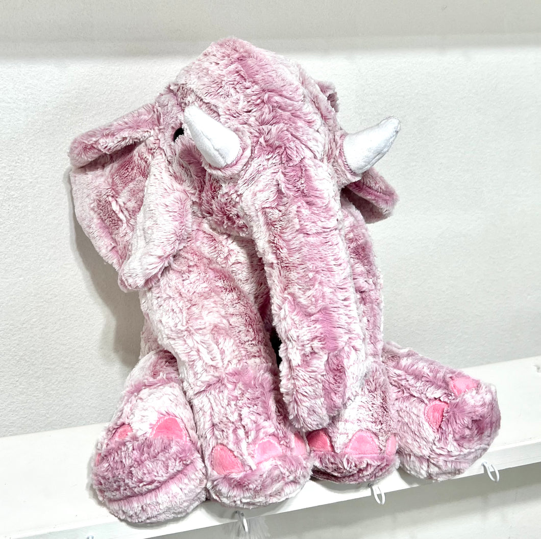 Live Shows Baby Elephant