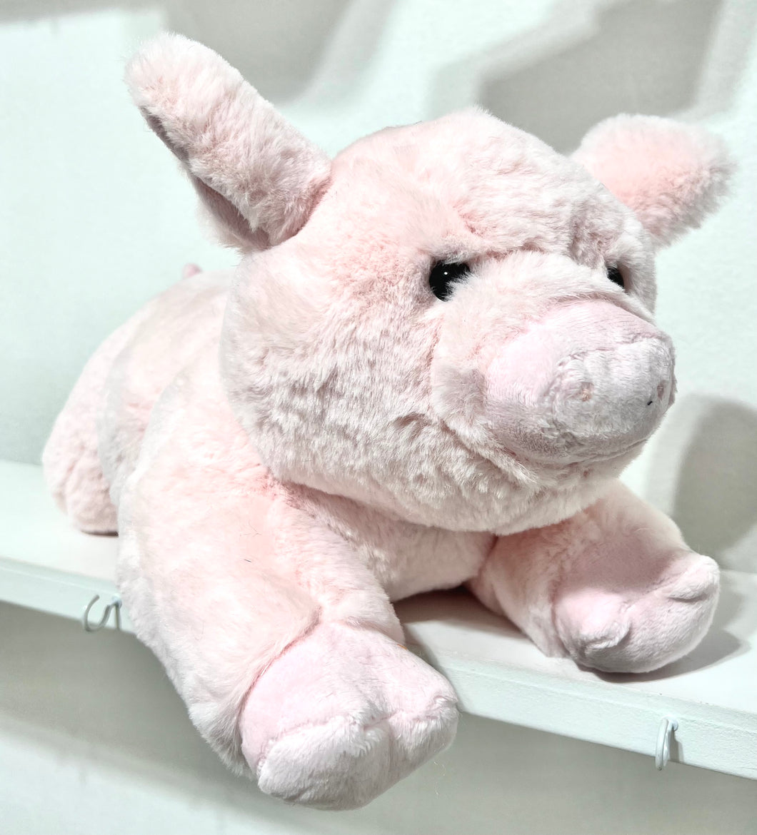 Live shows Pig Stuffie